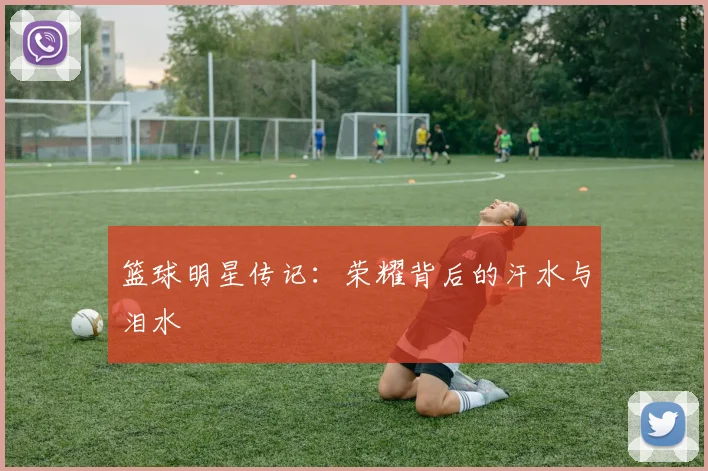 篮球明星传记：荣耀背后的汗水与泪水